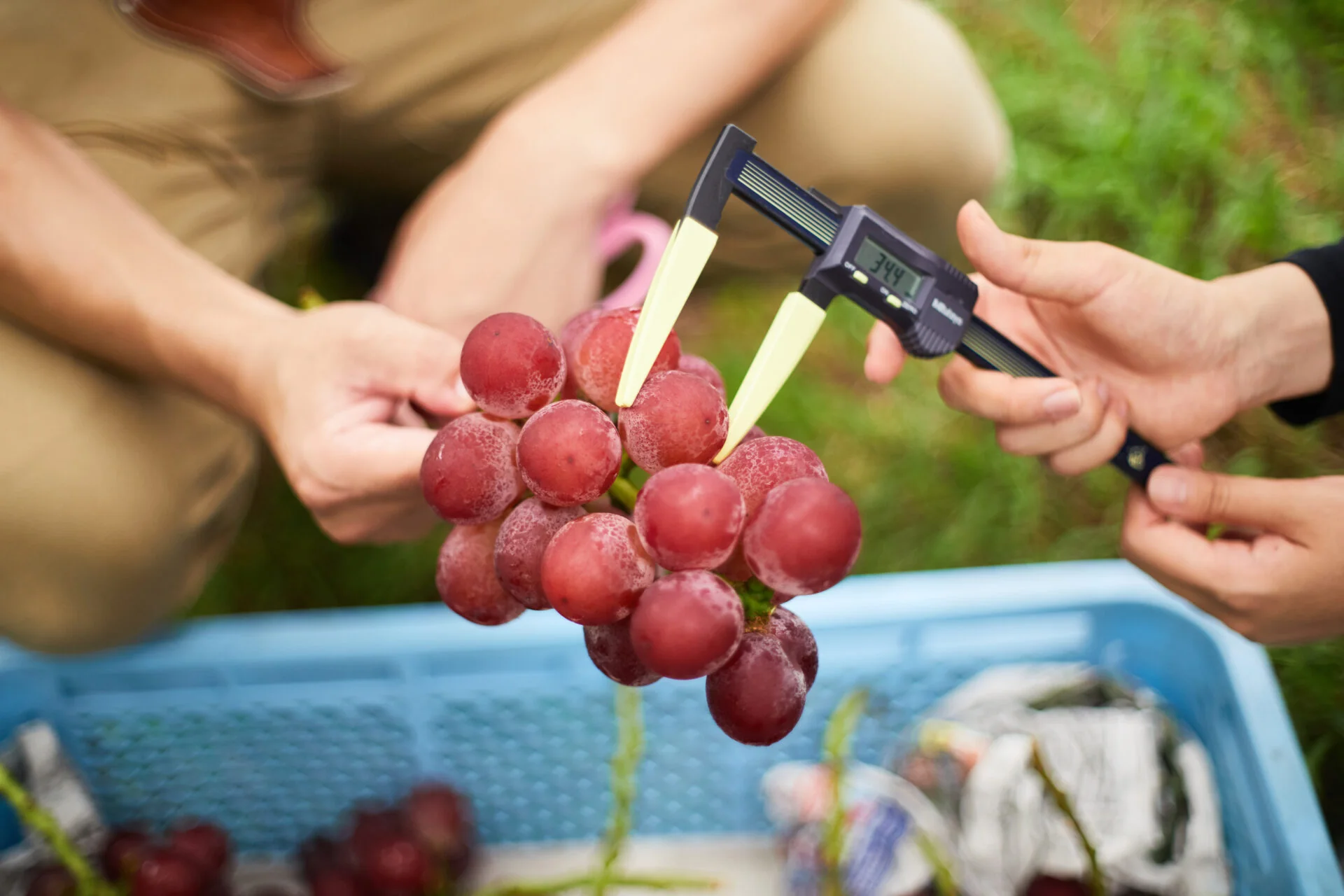 Welcome to Our Store